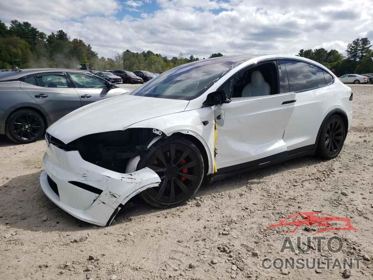 TESLA MODEL X 2024 - 7SAXCBE69RF451959