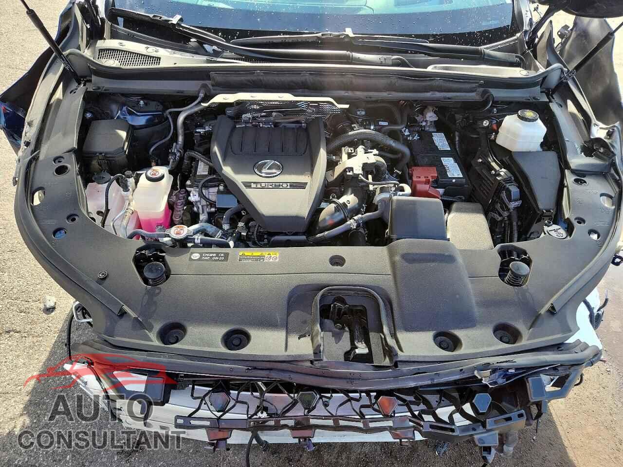 LEXUS RX350 2024 - 2T2BAMCA4RC082959