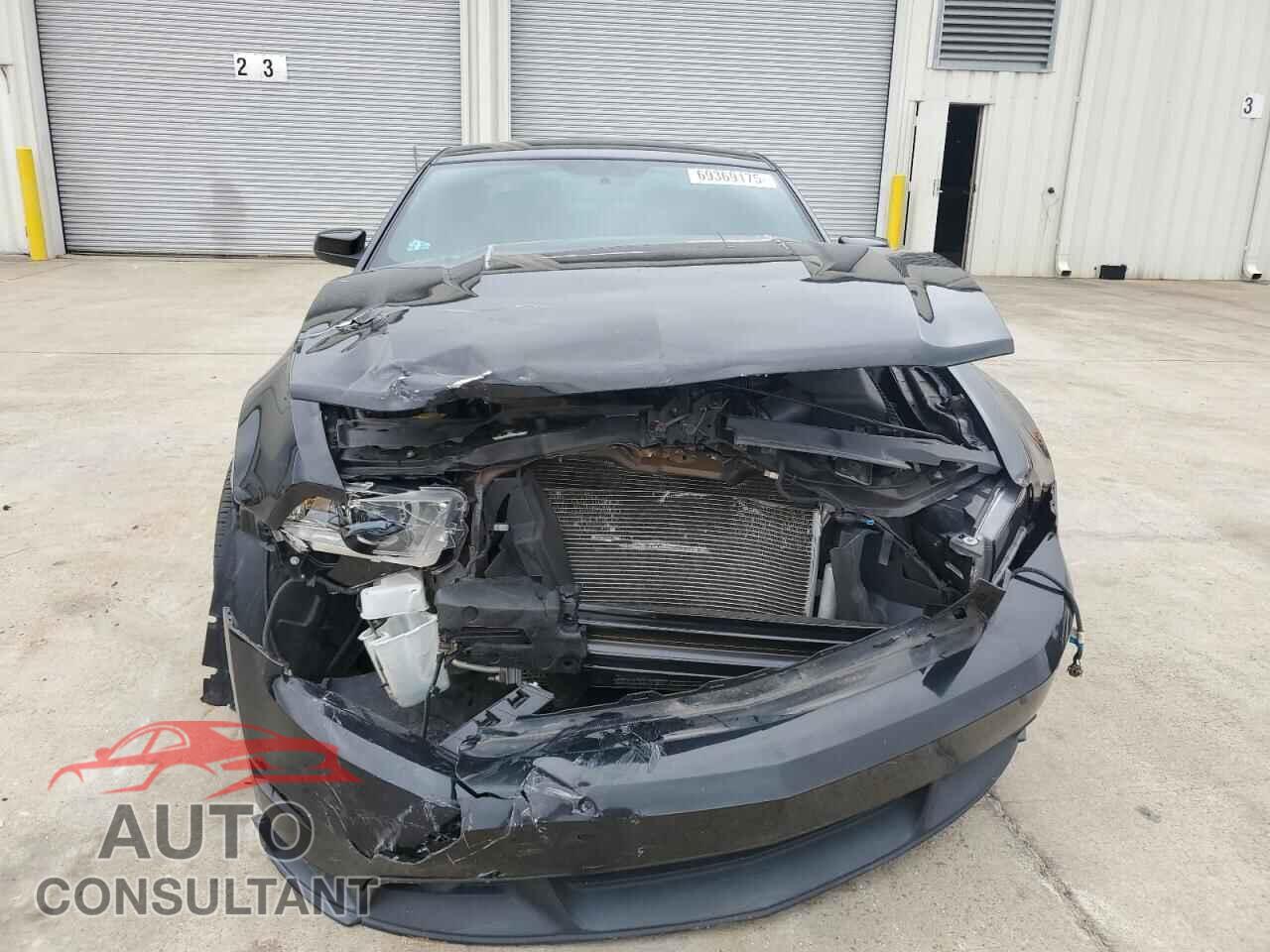 FORD MUSTANG 2011 - 1ZVBP8CF1B5152875