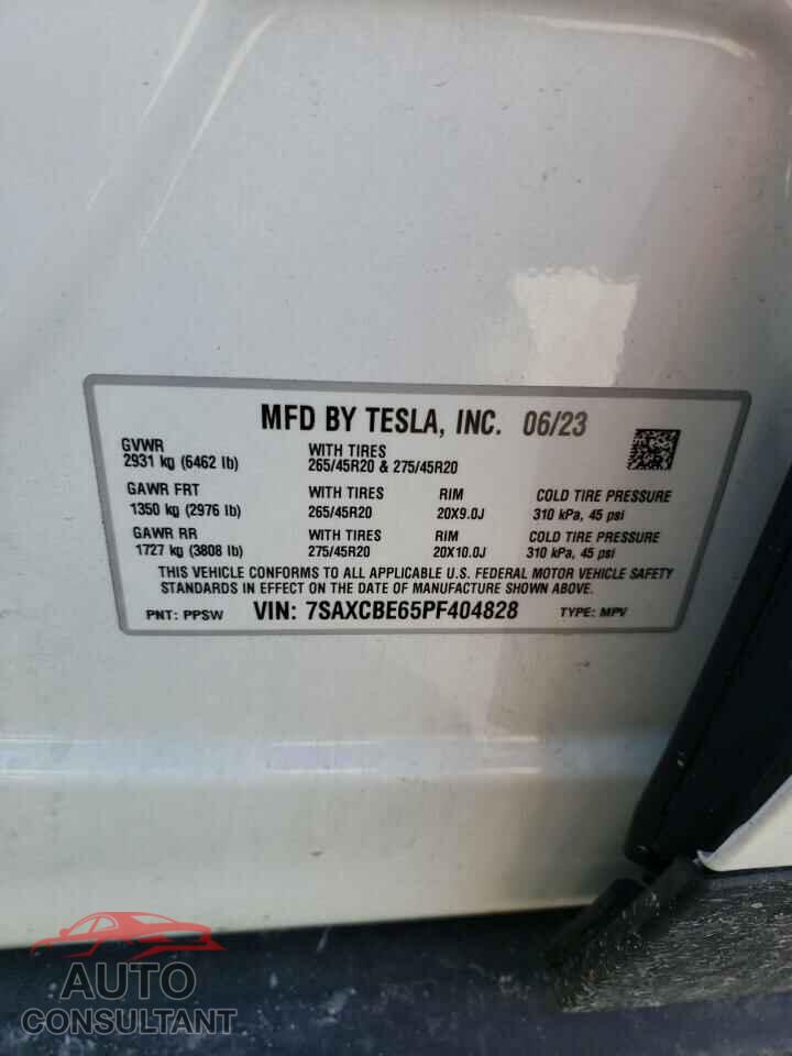 TESLA MODEL X 2023 - 7SAXCBE65PF404828