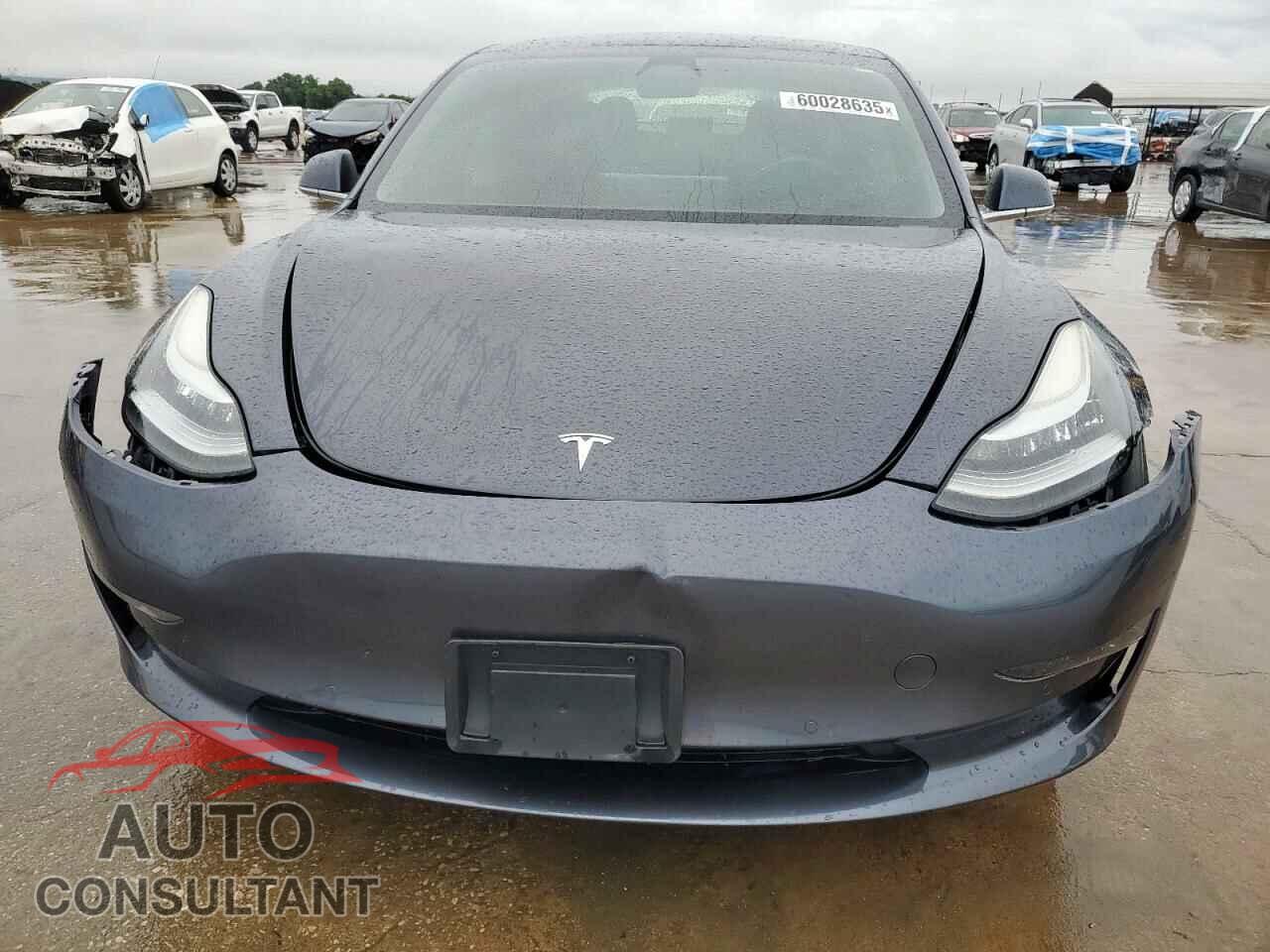 TESLA MODEL 3 2019 - 5YJ3E1EA2KF317174