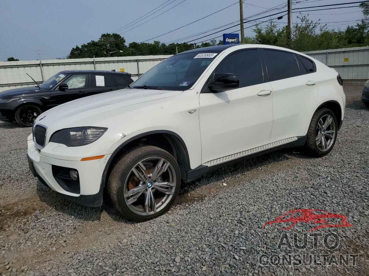 BMW X6 2011 - 5UXFG2C54BLX06848
