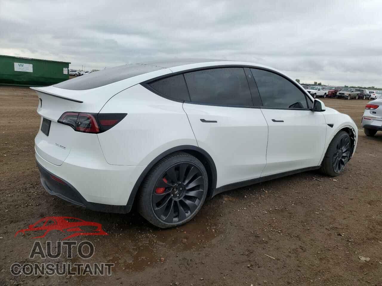 TESLA MODEL Y 2022 - 7SAYGDEF1NF397281