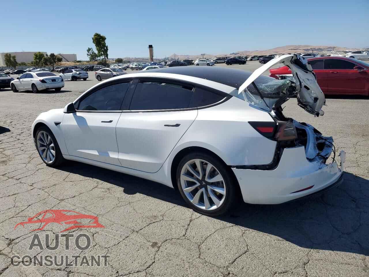 TESLA MODEL 3 2019 - 5YJ3E1EA8KF407557