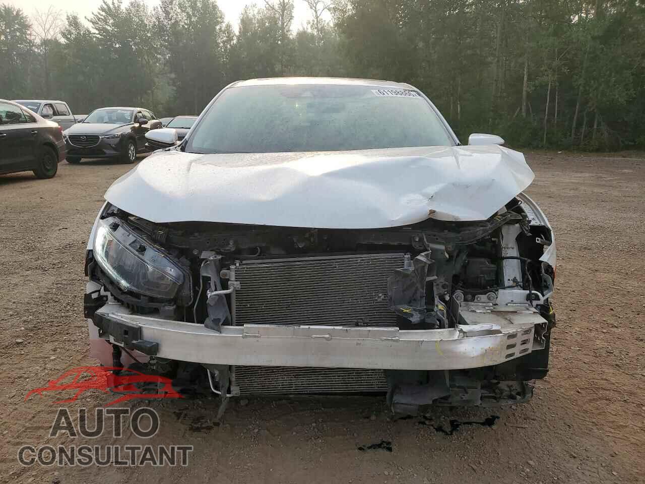 HONDA CIVIC 2019 - 2HGFC2F76KH032338