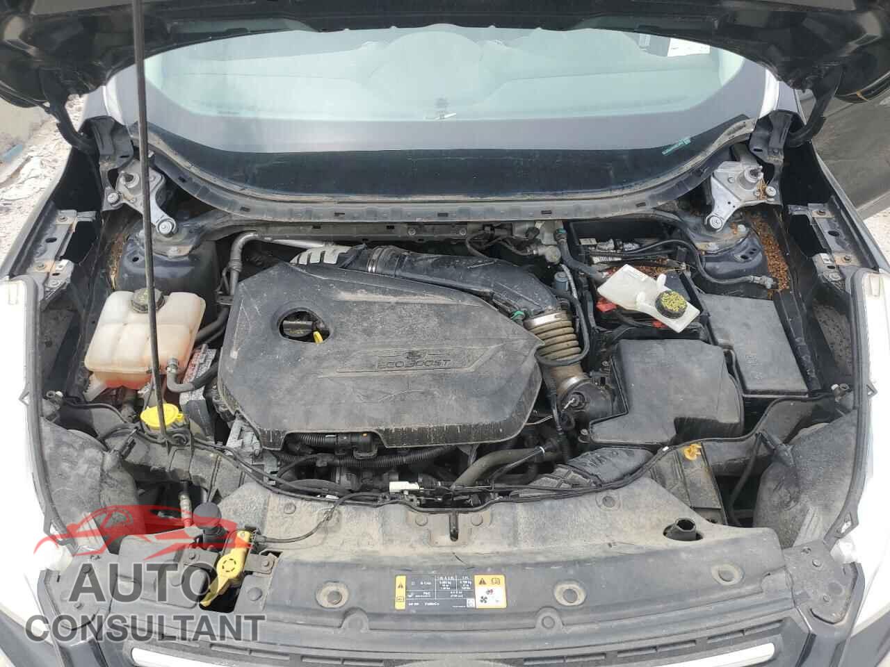 FORD ESCAPE 2014 - 1FMCU0GX4EUD72943
