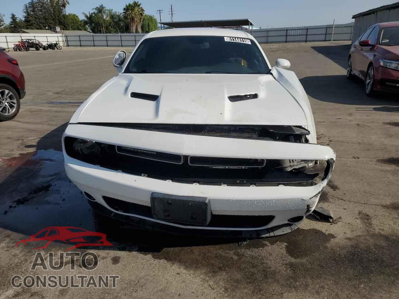 DODGE CHALLENGER 2019 - 2C3CDZAG8KH694182
