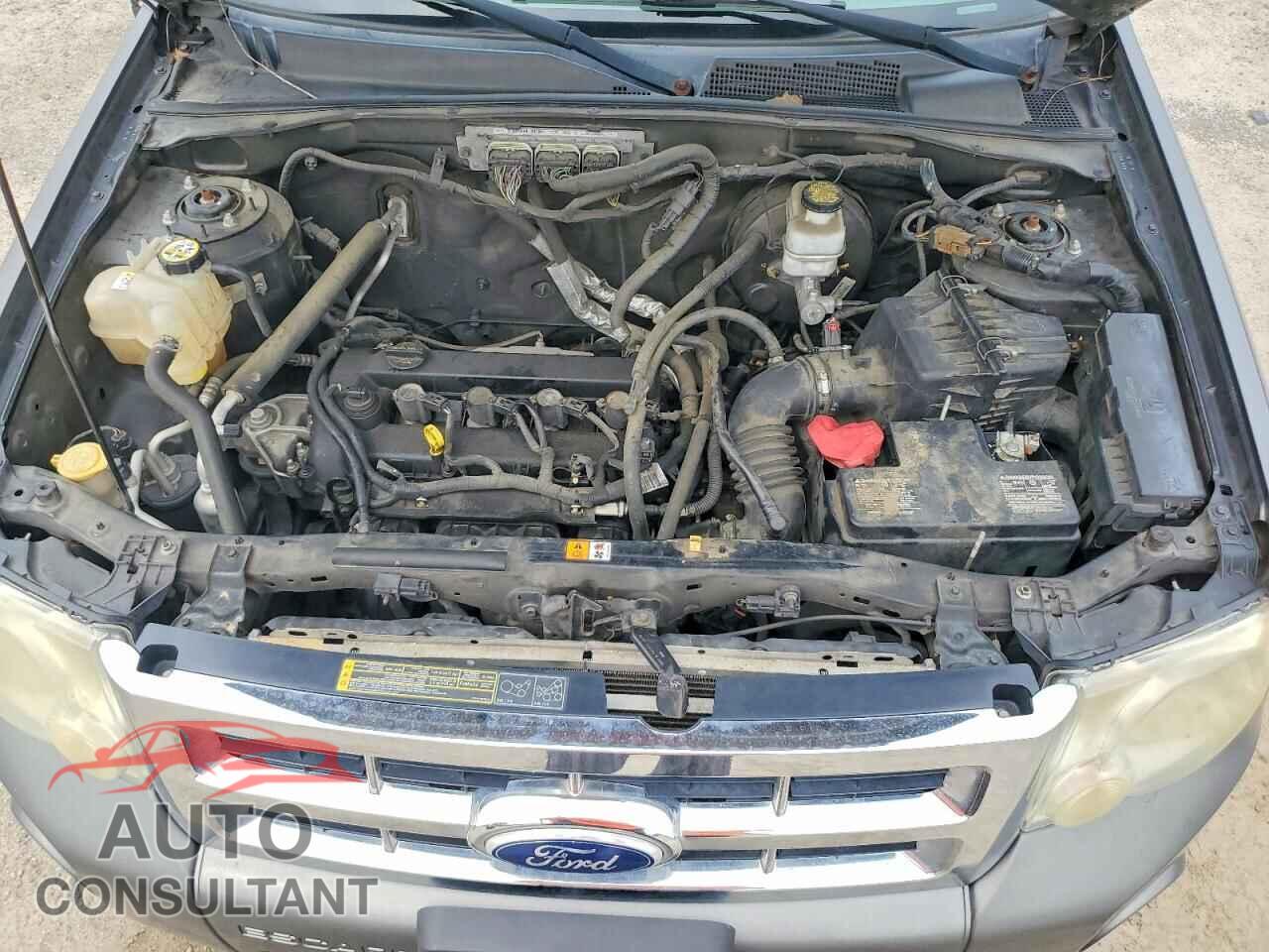FORD ESCAPE XLS 2010 - 1FMCU0C73AKB76861