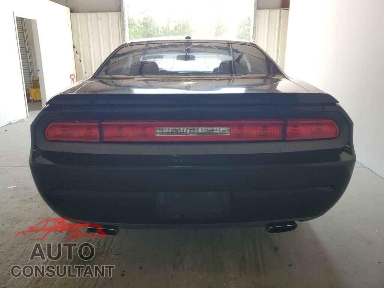 DODGE CHALLENGER 2013 - 2C3CDYBT5DH669880