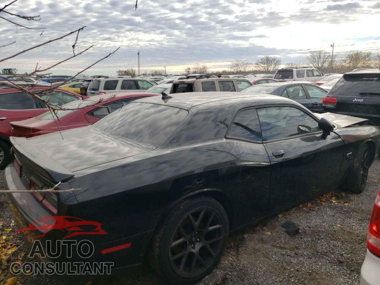 DODGE CHALLENGER 2017 - 2C3CDZBT3HH666360