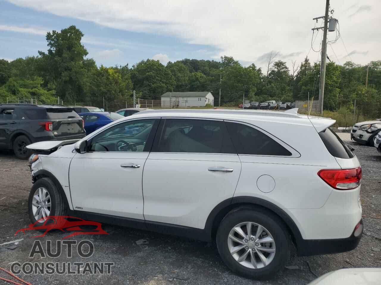 KIA SORENTO 2017 - 5XYPGDA37HG277194
