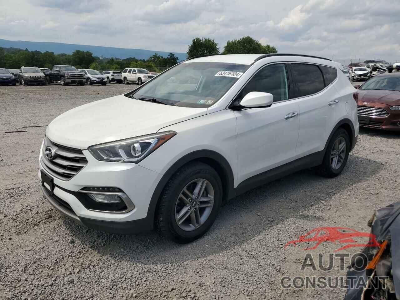 HYUNDAI SANTA FE 2017 - 5NMZUDLB8HH029922