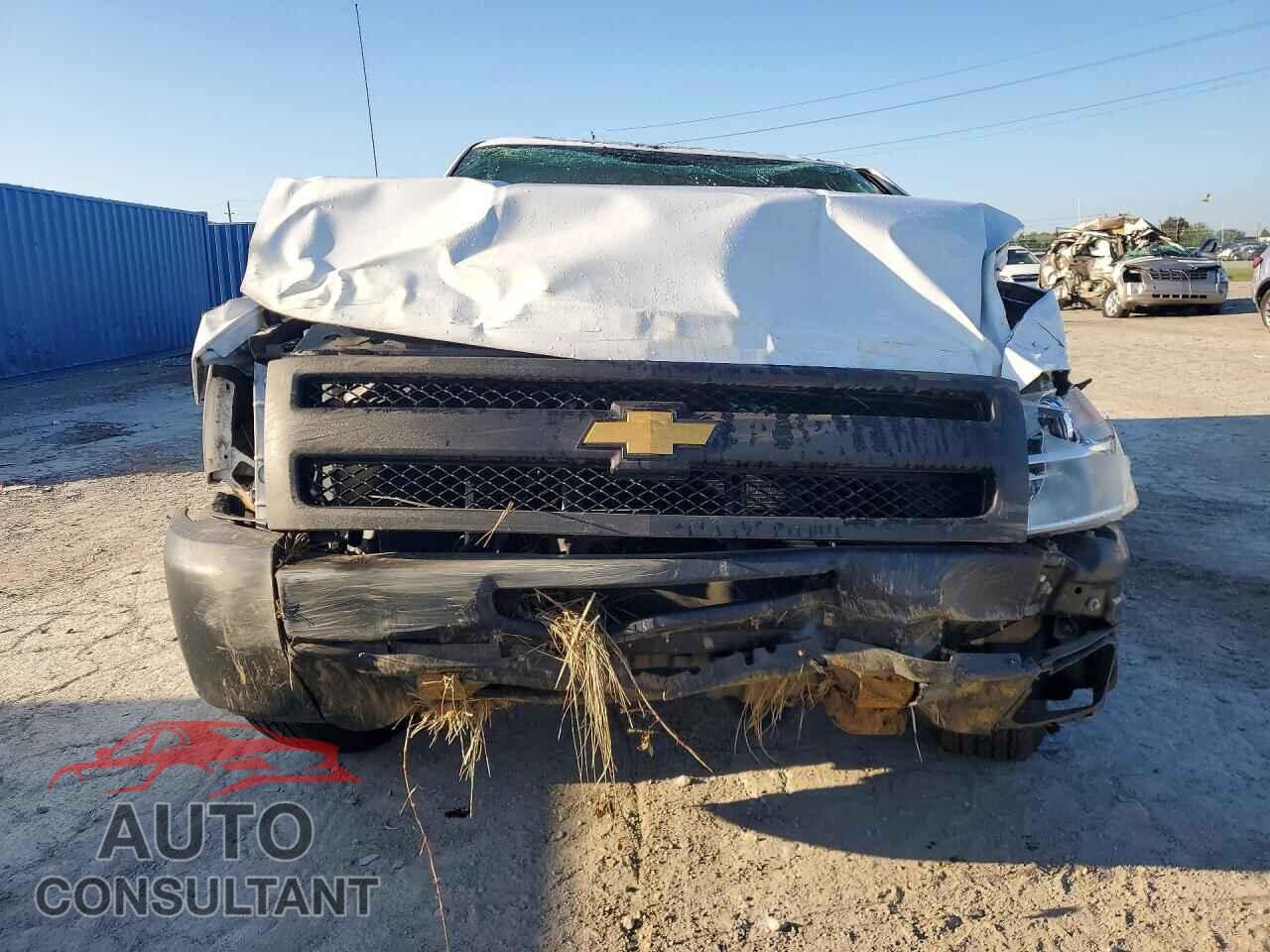 CHEVROLET SILVERADO 2012 - 1GCNCPEX3CZ291086