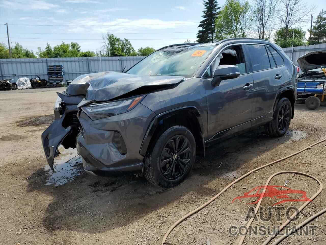 TOYOTA RAV4 2022 - 2T34WRFV3NW146600