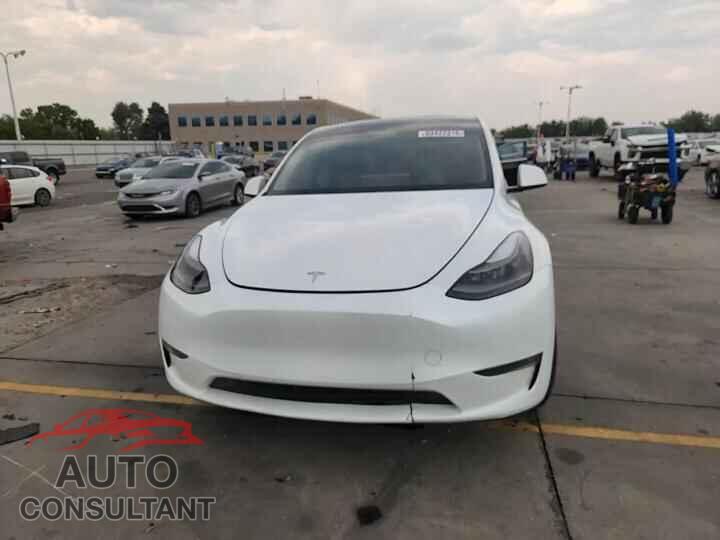 TESLA MODEL Y 2023 - 7SAYGDEE0PF695282