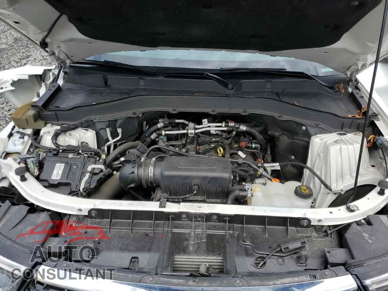 FORD EXPLORER 2022 - 1FMSK8DH7NGC00434