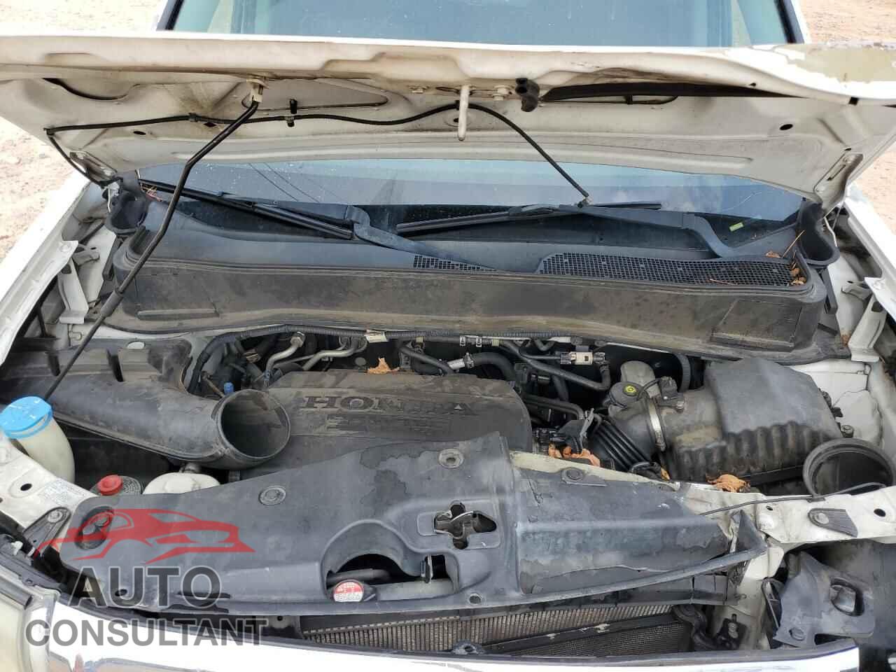 HONDA PILOT 2011 - 5FNYF4H93BB066977