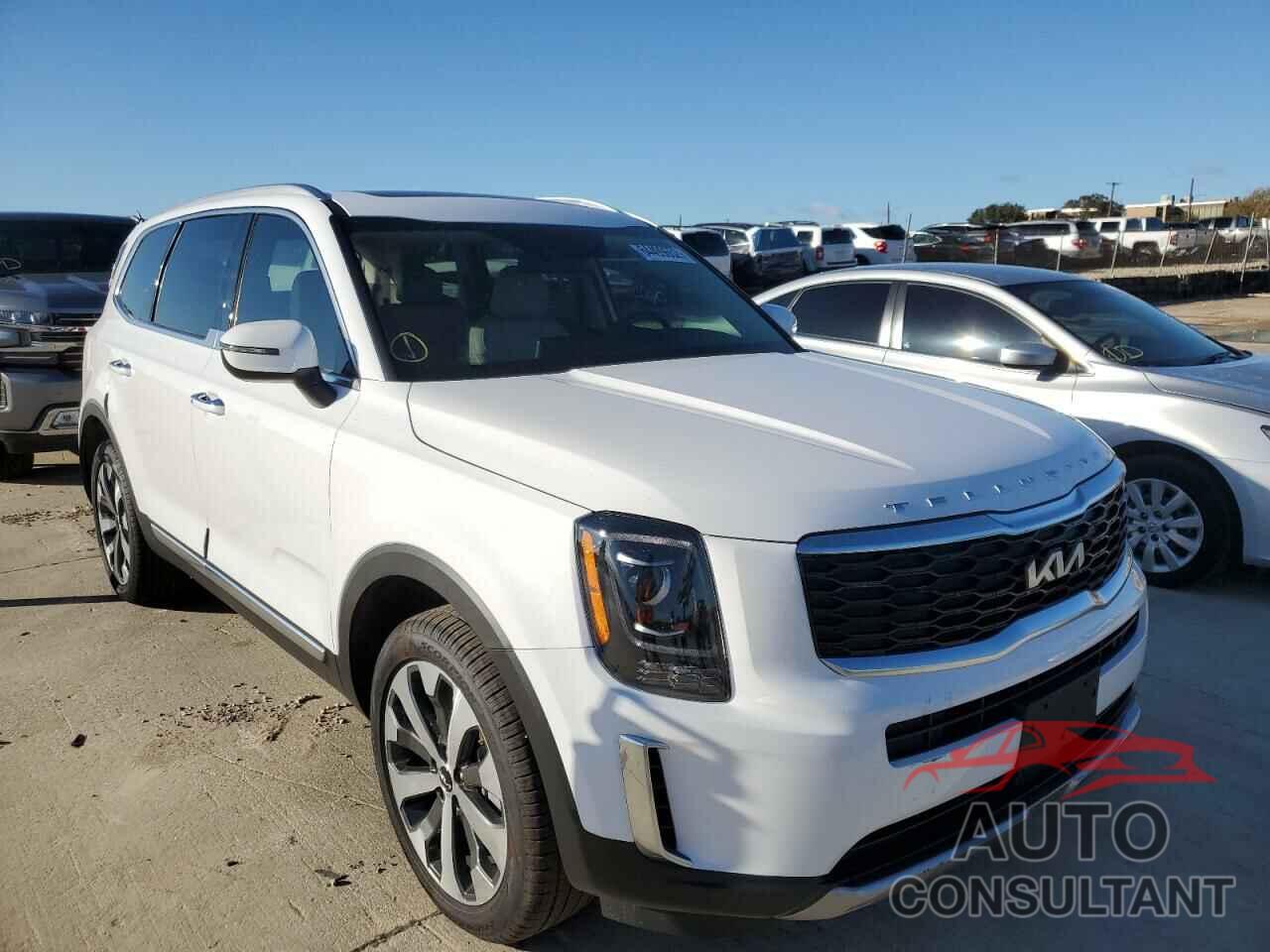 KIA TELLURIDE 2022 - 5XYP64HC9NG238997