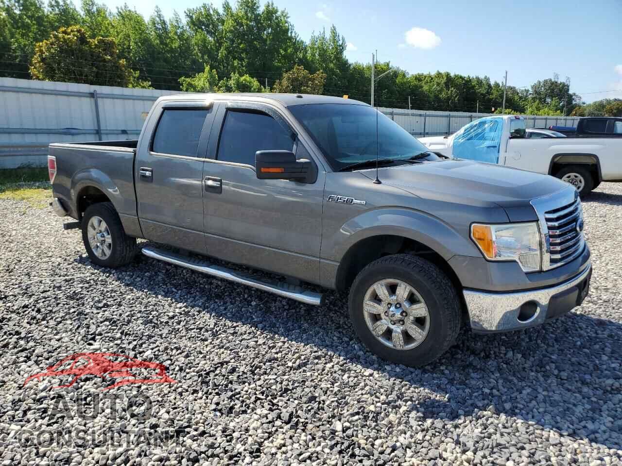 FORD F-150 2010 - 1FTEW1C85AFD22773