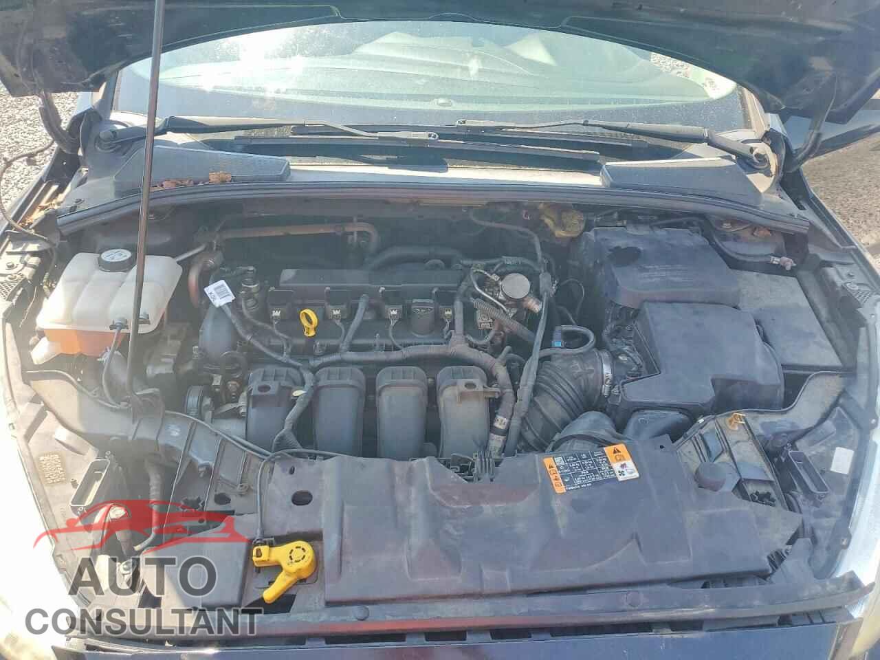 FORD FOCUS 2016 - 1FADP3F20GL323874
