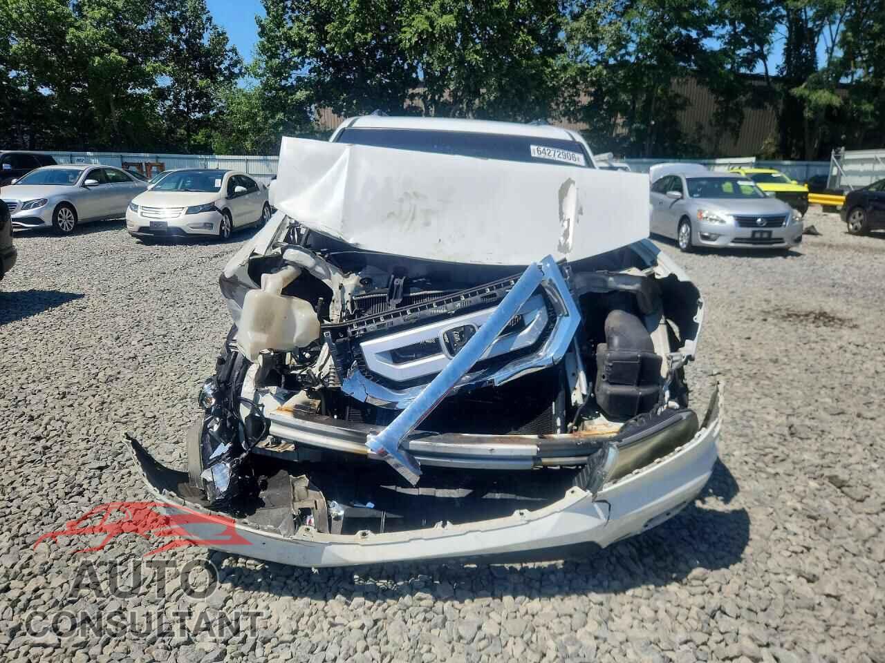 HONDA PILOT 2009 - 5FNYF48479B007512