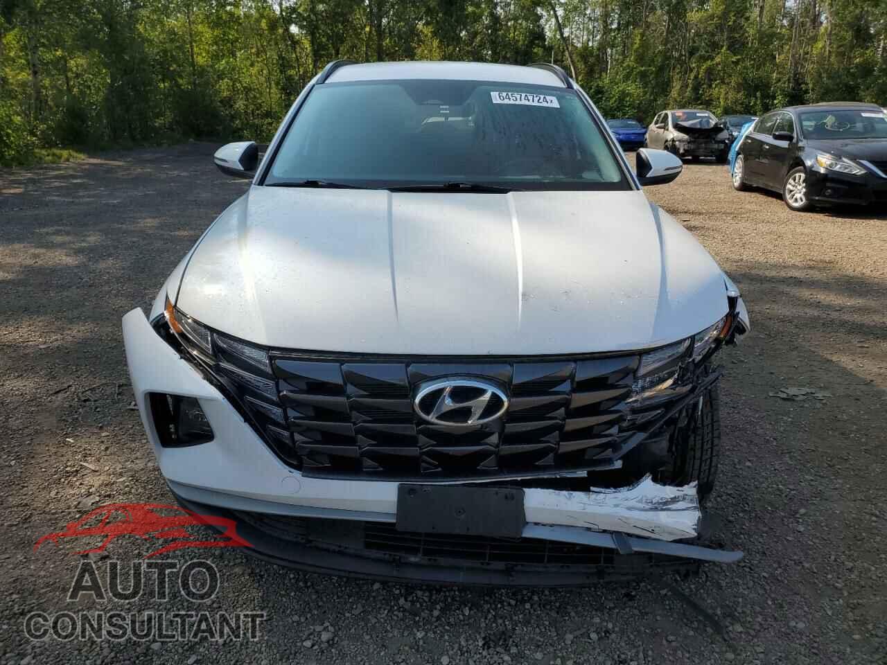 HYUNDAI TUCSON 2022 - KM8JBCAE6NU059334