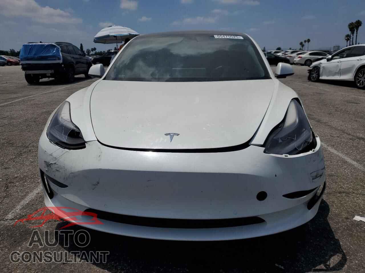 TESLA MODEL 3 2021 - 5YJ3E1EA3MF069441