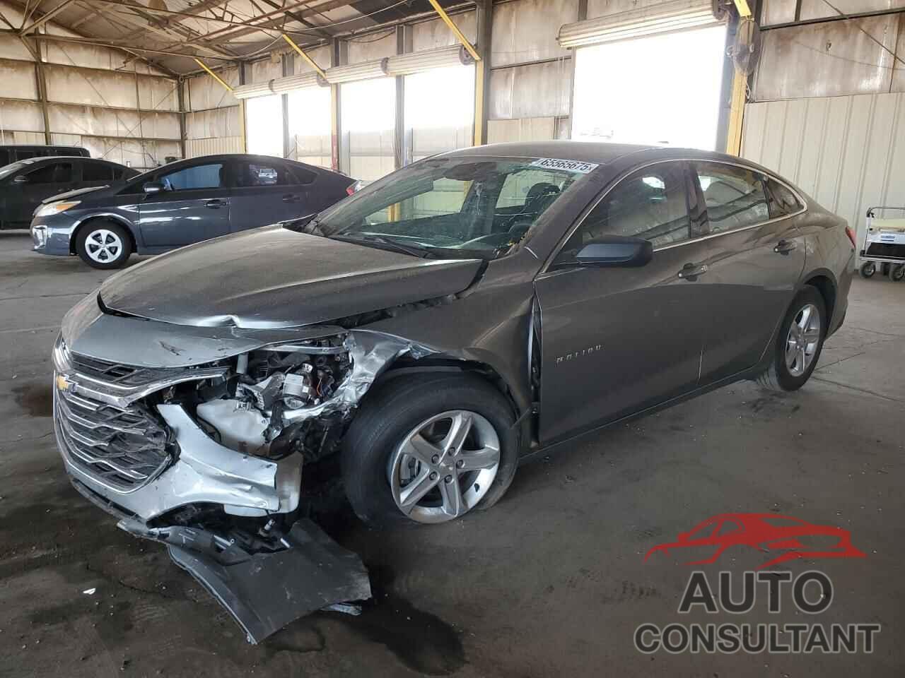 CHEVROLET MALIBU 2024 - 1G1ZC5ST0RF225492