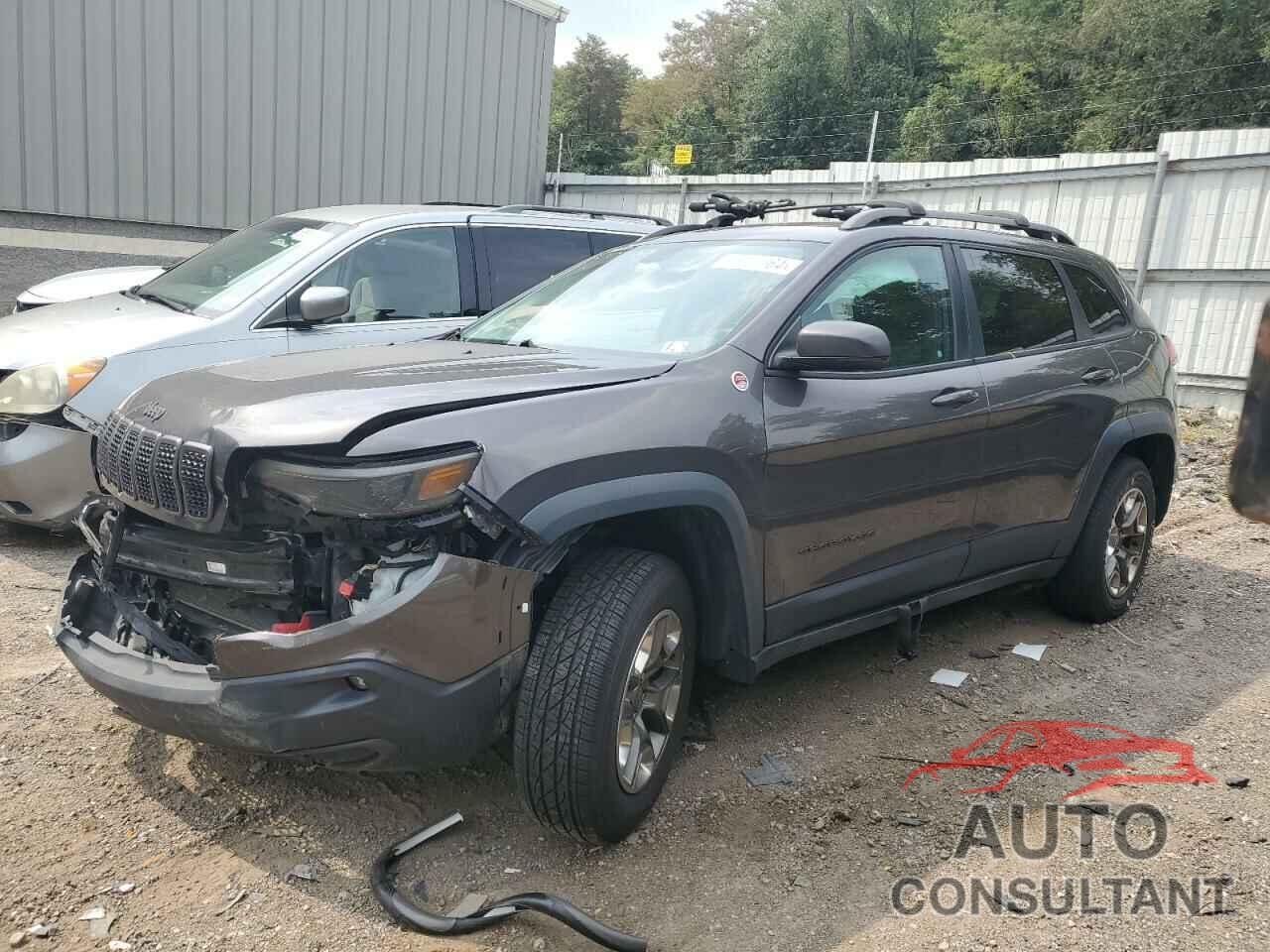 JEEP CHEROKEE 2019 - 1C4PJMBX2KD189758