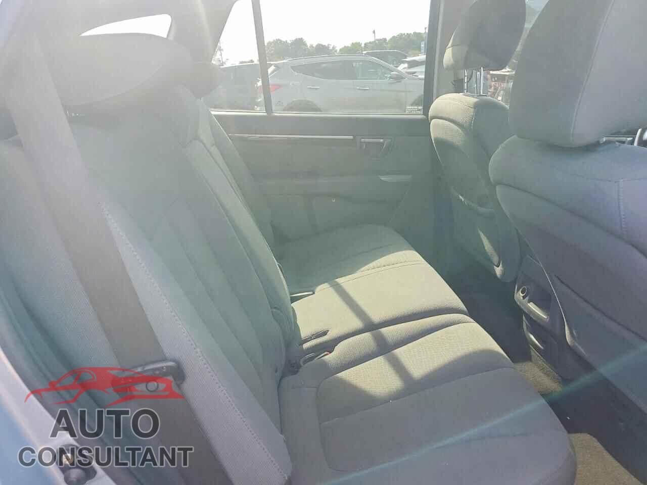 HYUNDAI SANTA FE 2010 - 5NMSGDAB5AH372155