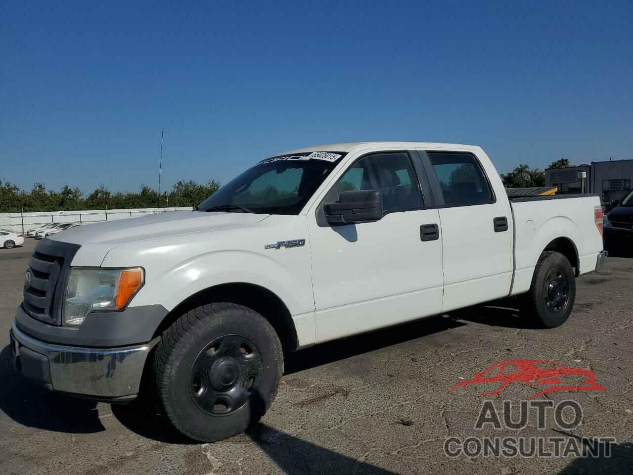 FORD F-150 2009 - 1FTRW12W19KC95673