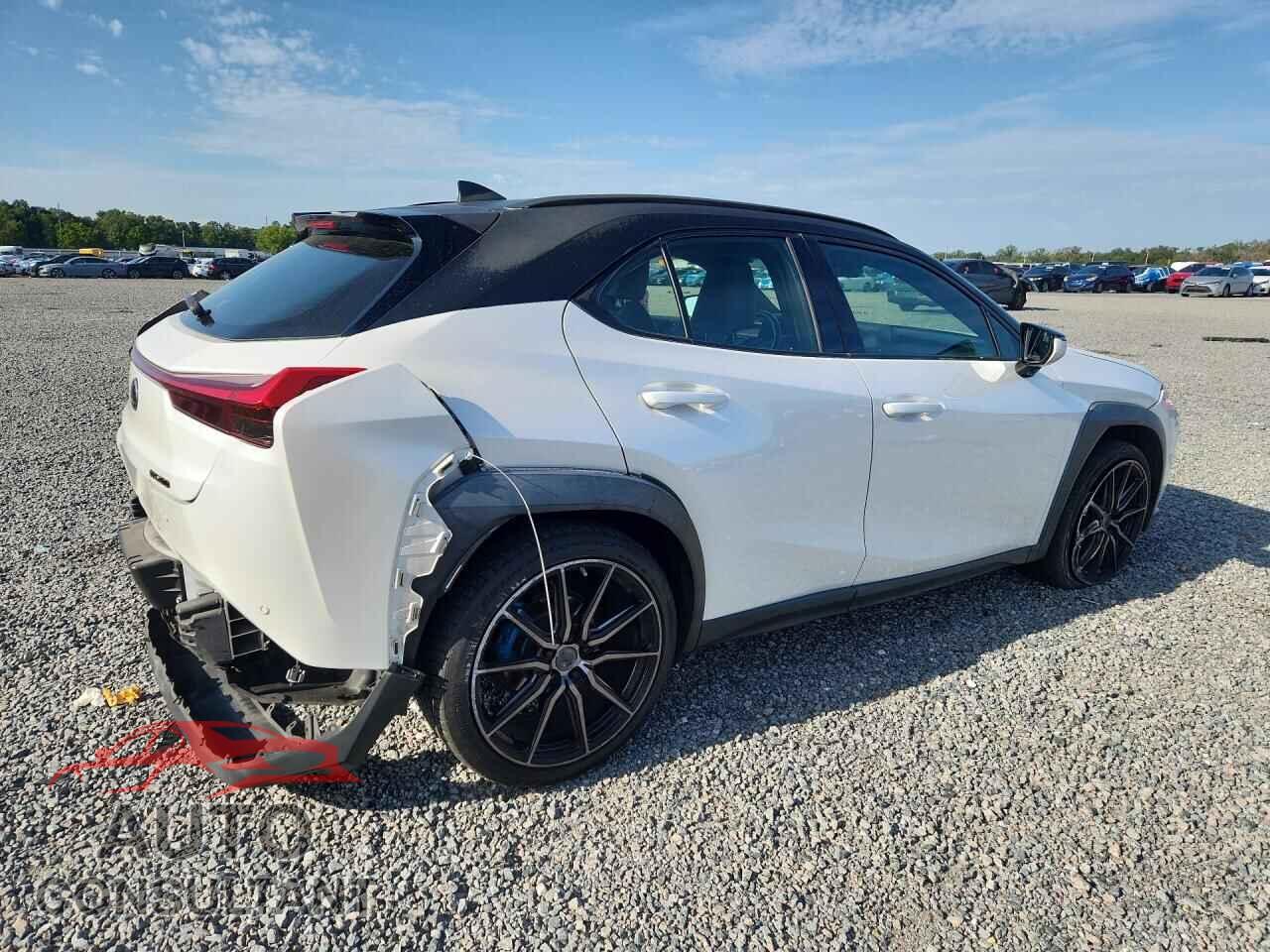 LEXUS ALL OTHER 2020 - JTHP3JBH3L2023486