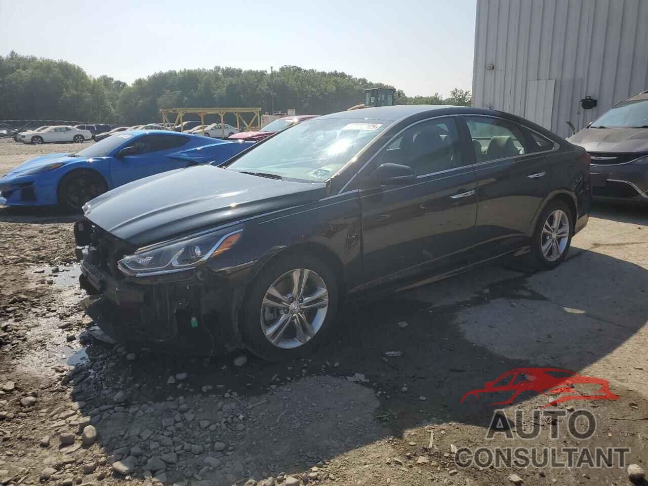 HYUNDAI SONATA 2018 - 5NPE34AF2JH663212