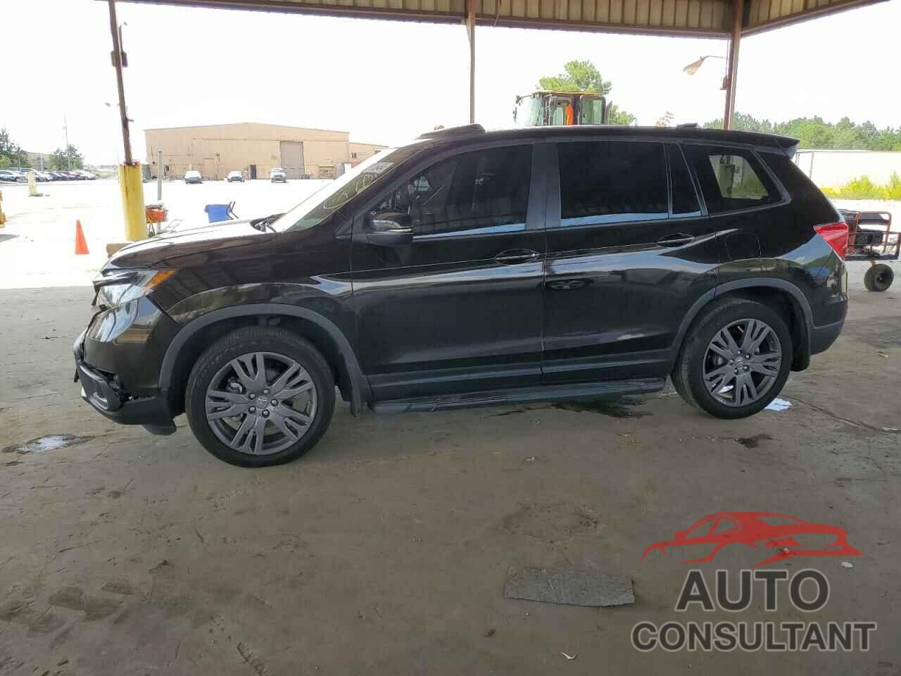 HONDA PASSPORT 2019 - 5FNYF7H55KB004348