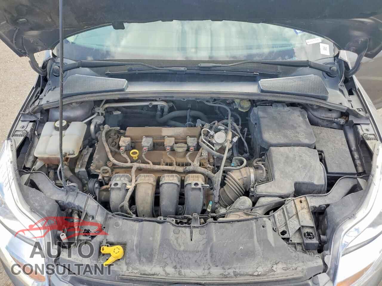 FORD FOCUS 2014 - 1FADP3F29EL249349
