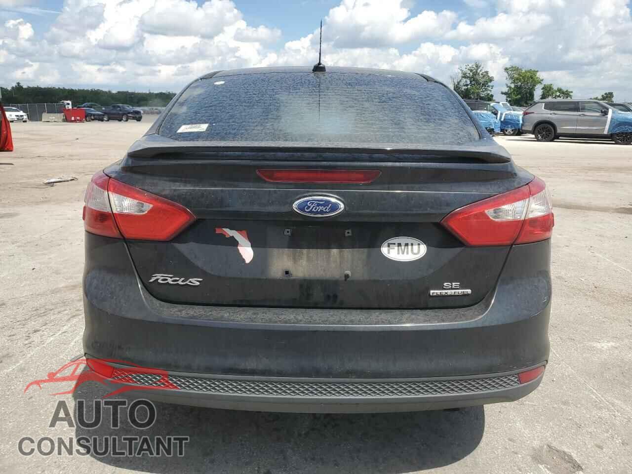 FORD FOCUS 2014 - 1FADP3F29EL147548