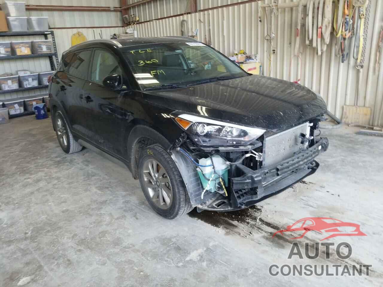 HYUNDAI TUCSON 2017 - KM8J33A41HU403970