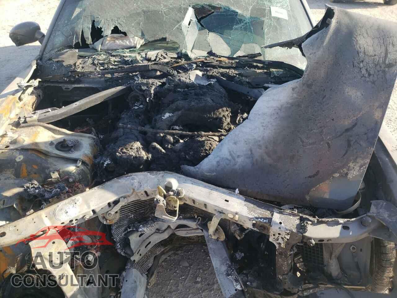 DODGE CHALLENGER 2019 - 2C3CDZAG1KH687736
