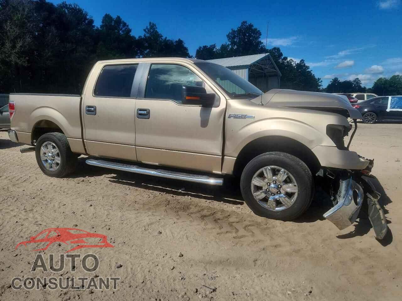 FORD F150 2013 - 1FTEW1CM7DFC62495