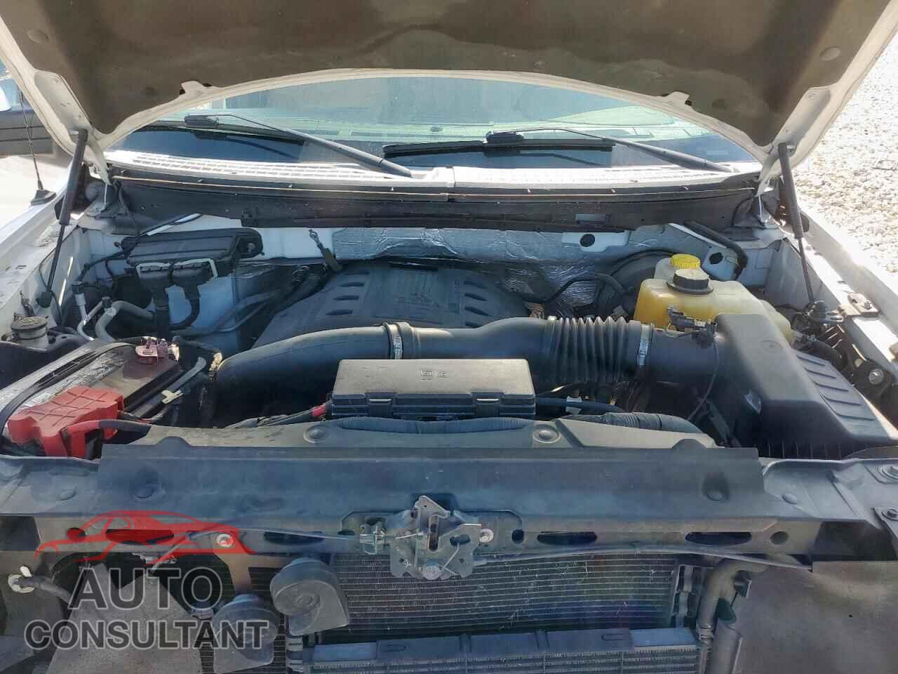 FORD F-150 2013 - 1FTFW1CT2DFD40922
