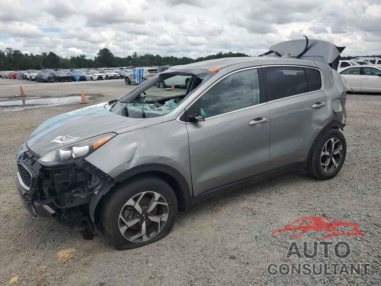 KIA SPORTAGE 2022 - KNDPM3AC5N7027559
