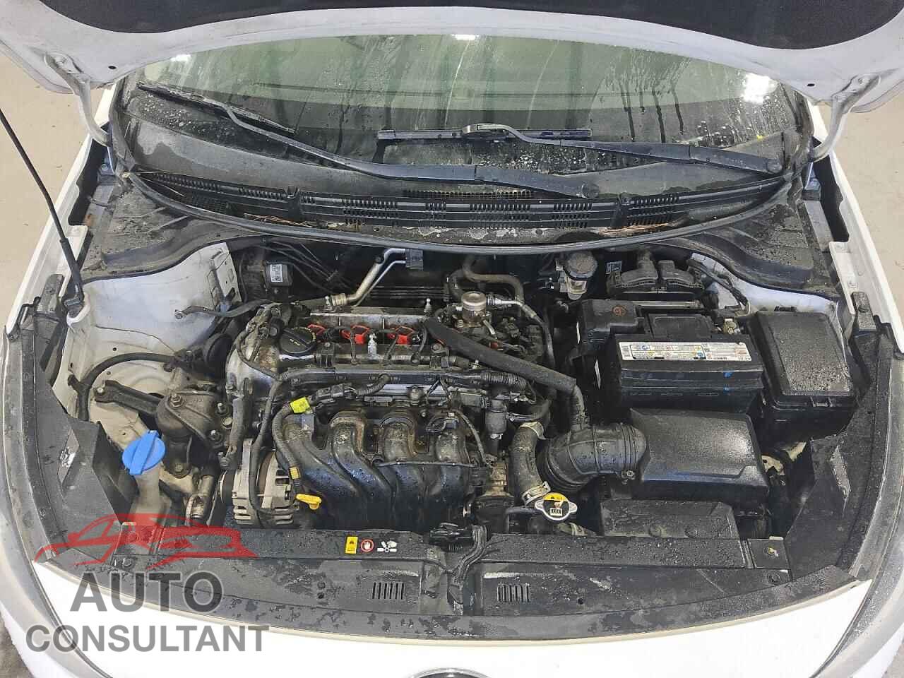 KIA RIO 2019 - 3KPA24AB6KE173473