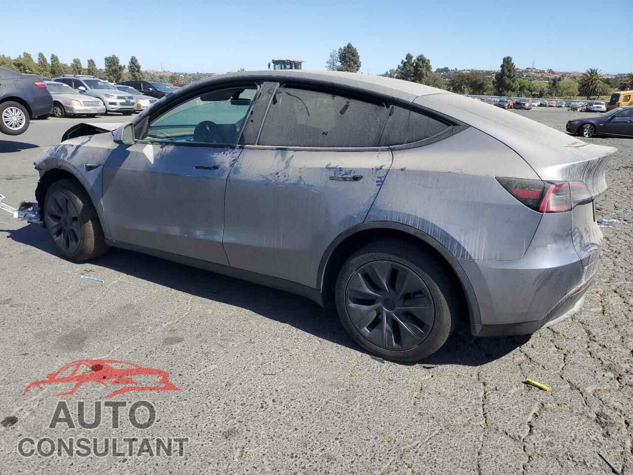TESLA MODEL Y 2024 - 7SAYGDEE8RF206968