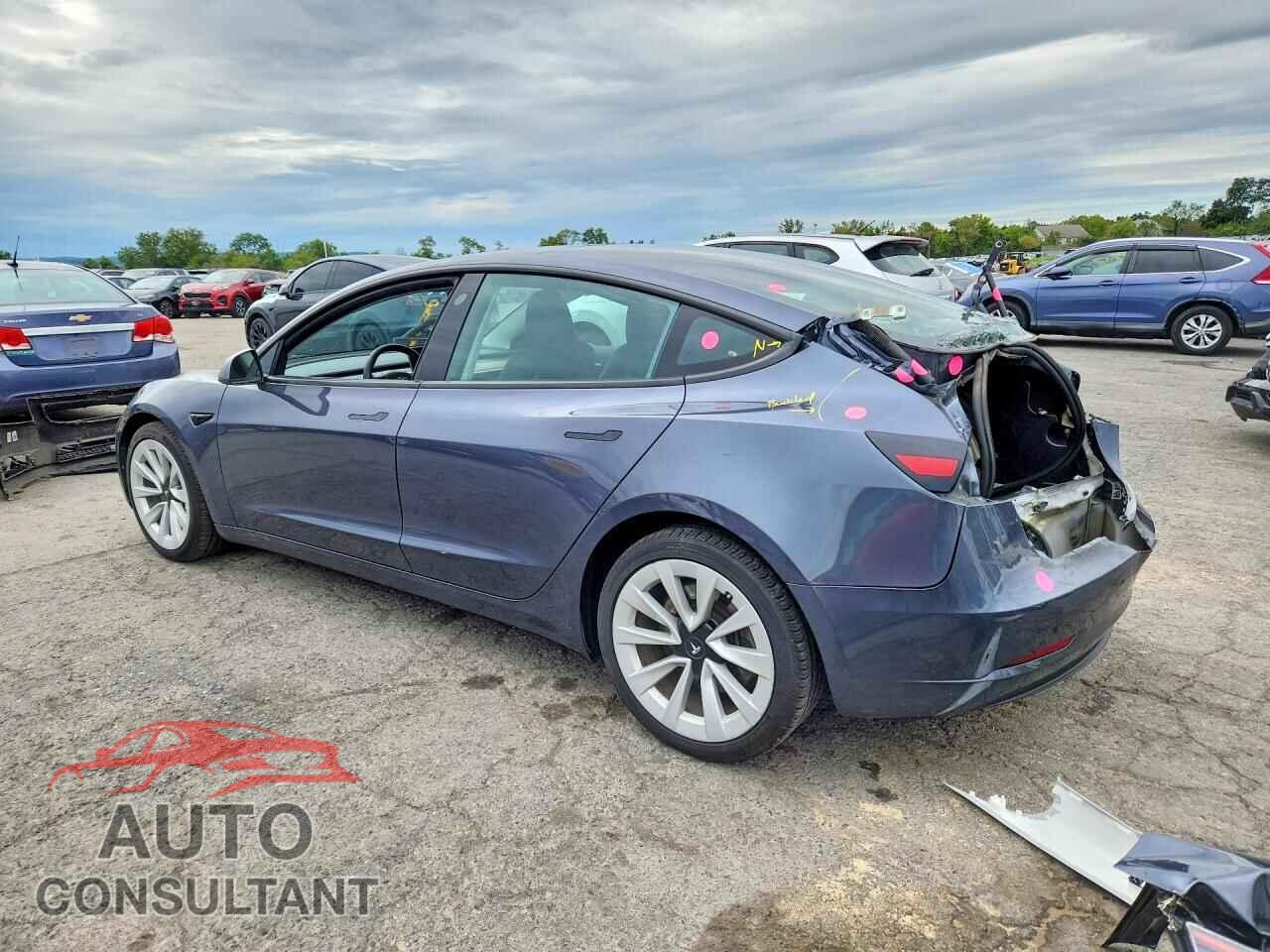 TESLA MODEL 3 2023 - 5YJ3E1EA0PF704622