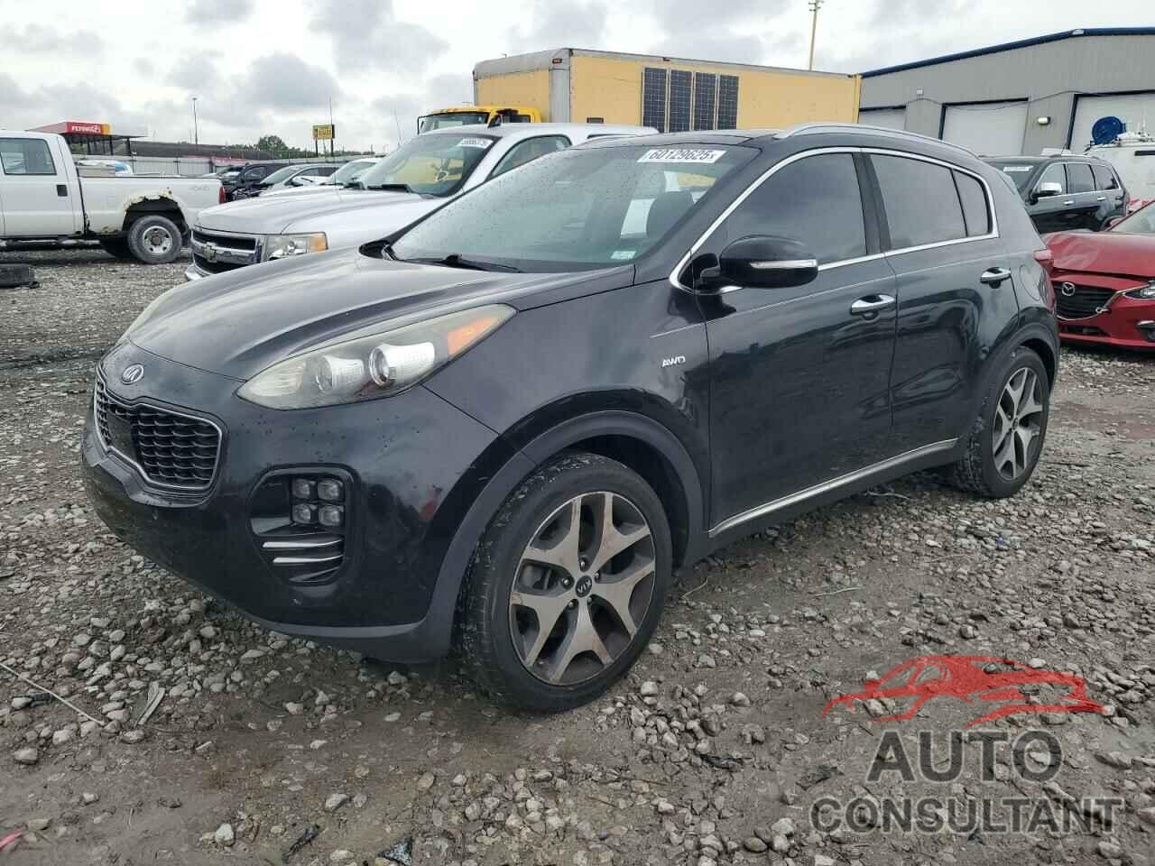 KIA SPORTAGE 2017 - KNDPRCA69H7041934