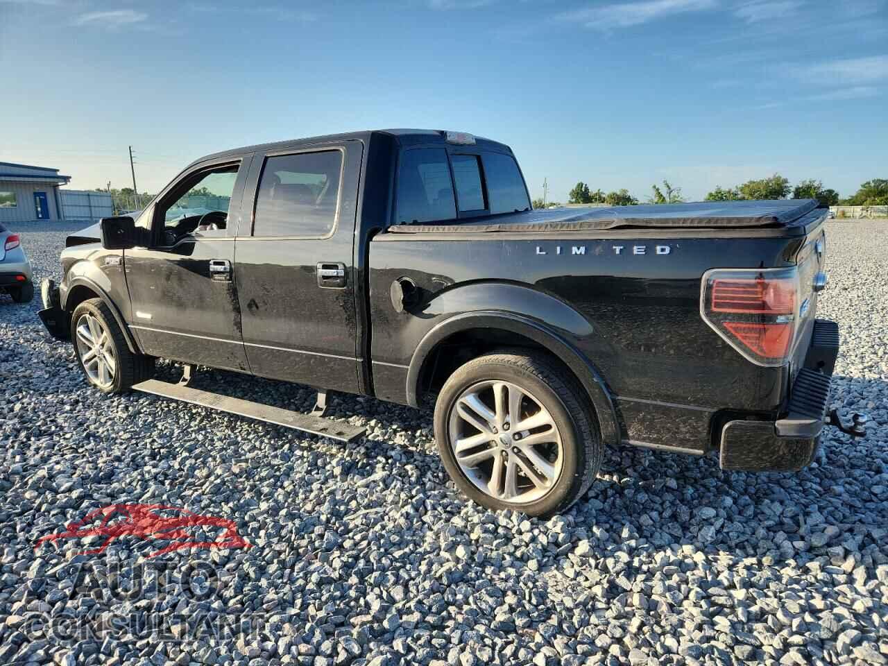 FORD F-150 2013 - 1FTFW1CT5DFD46004