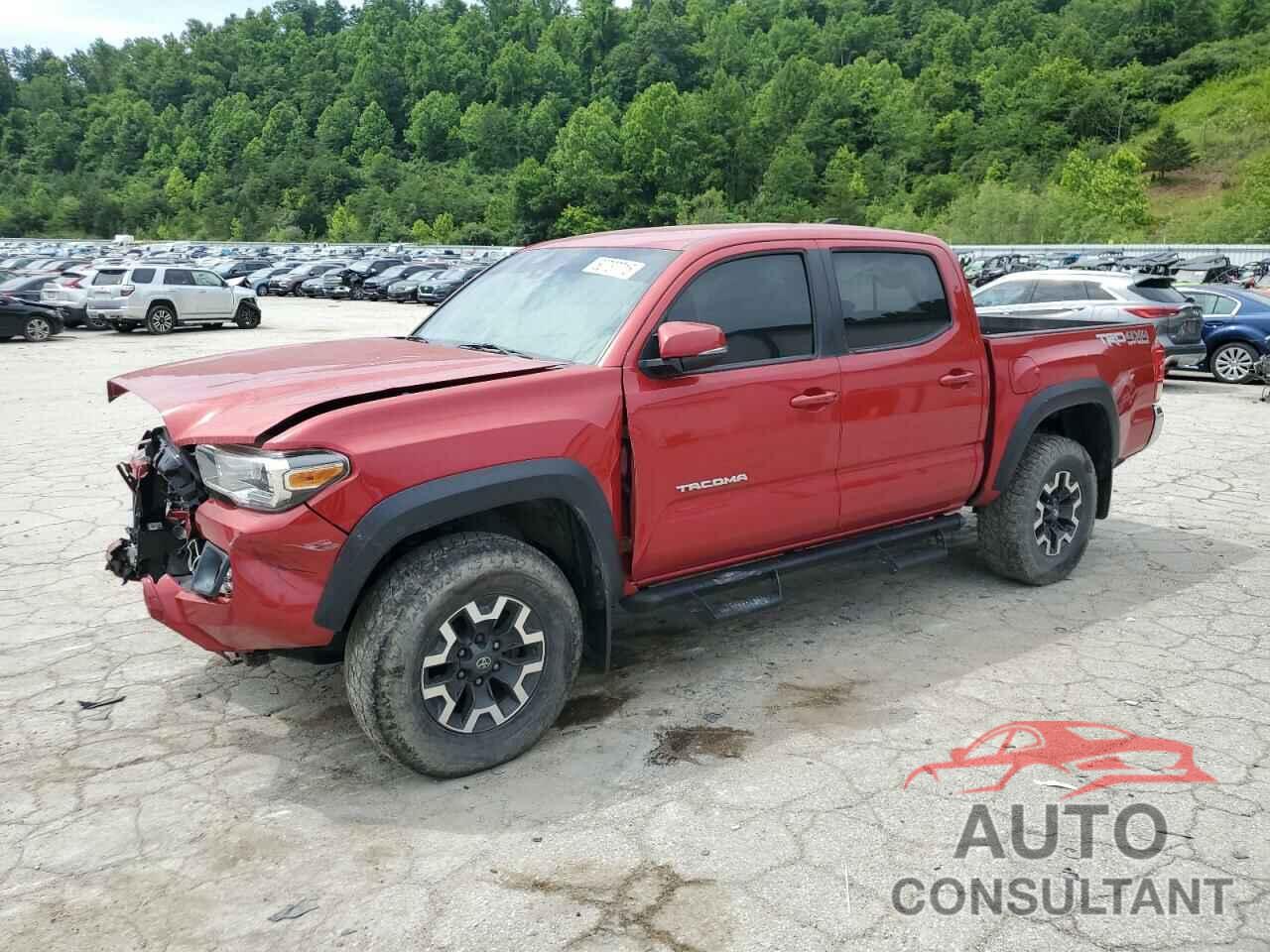TOYOTA TACOMA 2019 - 3TMCZ5AN7KM245470