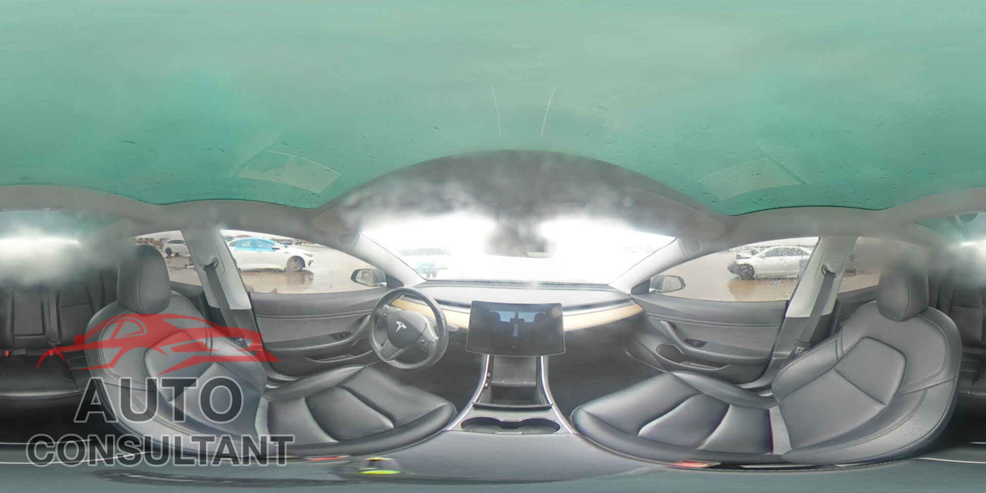 TESLA MODEL 3 2019 - 5YJ3E1EA2KF317174