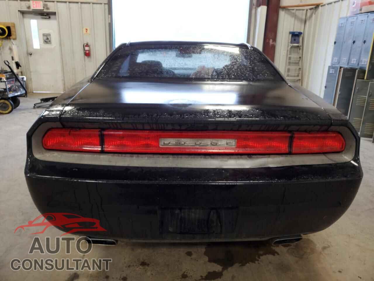 DODGE CHALLENGER 2013 - 2C3CDYAG6DH609272