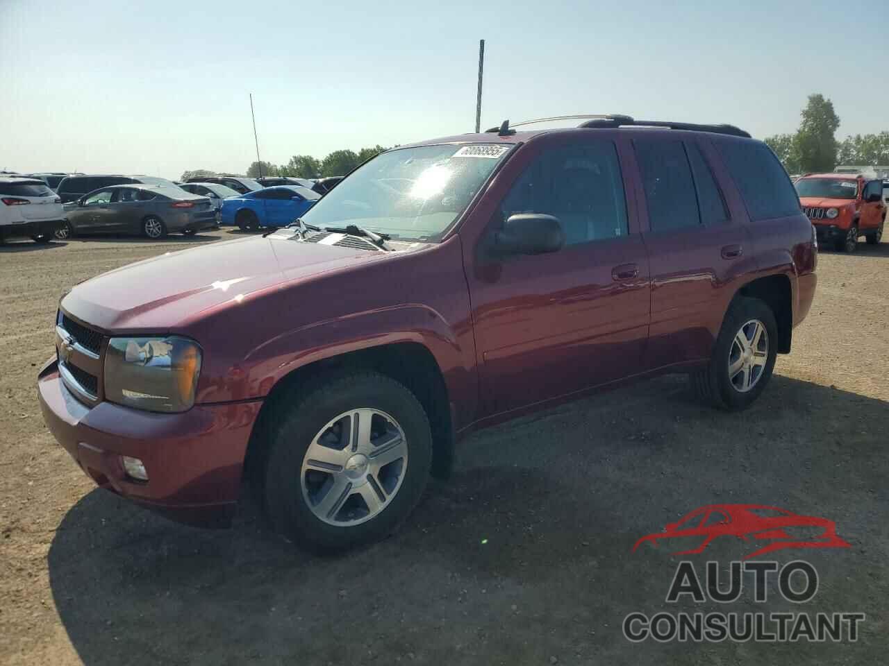 CHEVROLET TRAILBLZR 2009 - 1GNDT33S492112039